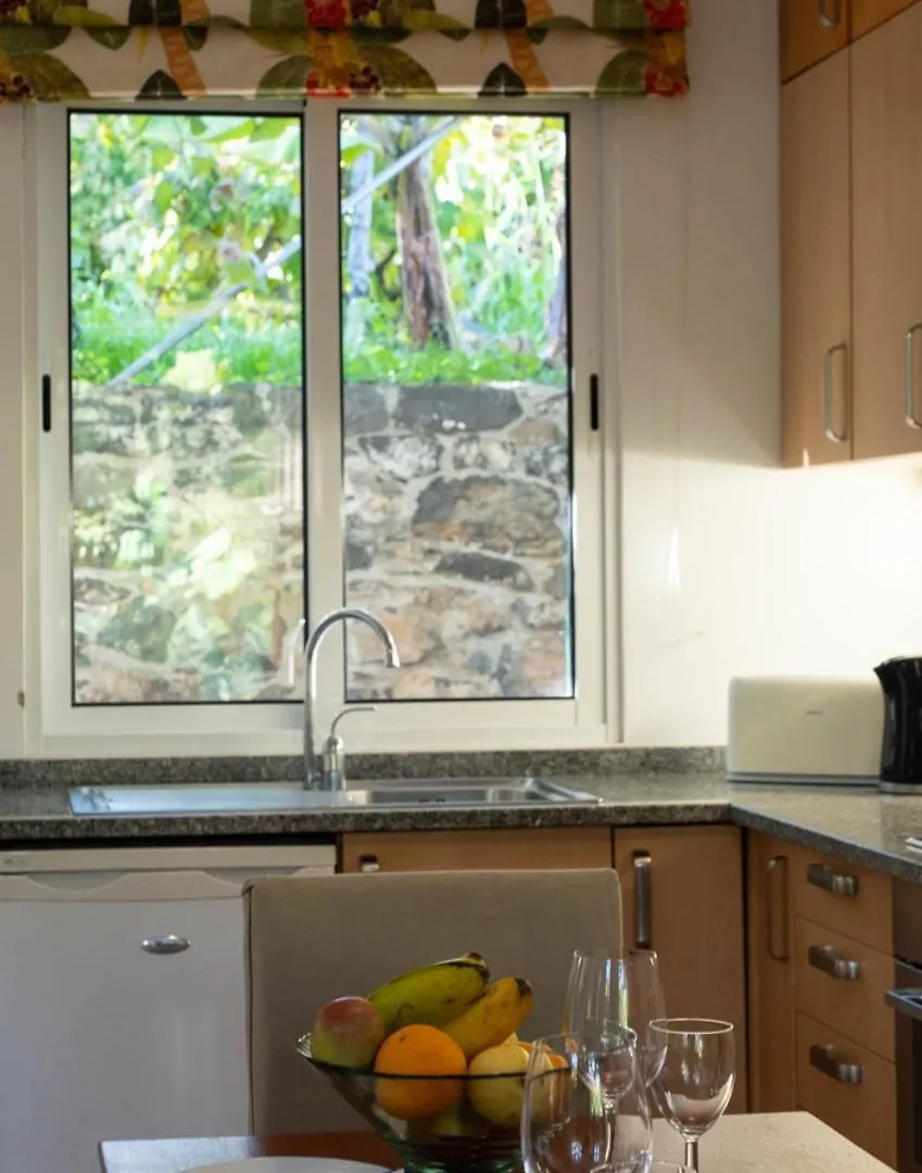 Ourmadeira - Casa Das Vinhas, Charming Funchal  Appartamento